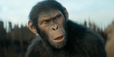 'Kingdom of the Planet of the Apes' Promo Takes Over San Francisco | Sci-Fi Talk | Scoop.it