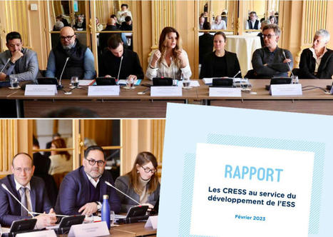 ESS : des propositions pour renforcer les Cress | L'actualité de la politique de la ville | Scoop.it