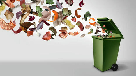 Déchets alimentaires : à quoi va servir le nouveau tri à la source ? | Planète DDurable | Scoop.it