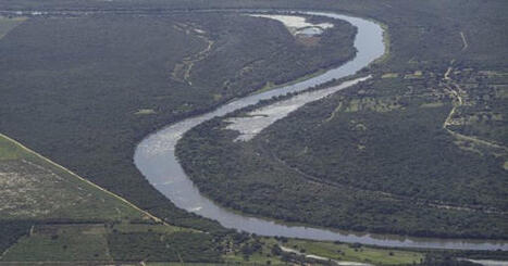 BRAZIL: MapBiomas reports 32.4% decline in deforestation | AMÉRIQUES | Scoop.it