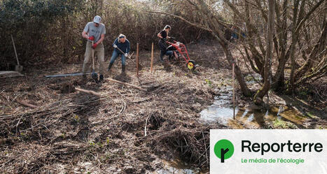 &laquo;&nbsp;On s&rsquo;inspire des castors&nbsp;&raquo;&nbsp;: face aux crues, cette vall&eacute;e veut devenir un territoire &eacute;ponge | Biodiversit&eacute; - @ZEHUB on Twitter | Scoop.it