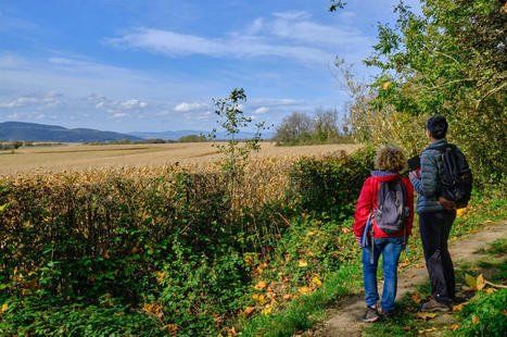 Un sentier grande randonnée (GR) dans la métropole de Lyon ? Pari réussi | Tourisme de randonnées                                                                                                                                                                                 & Sports de nature pour les pros | Scoop.it