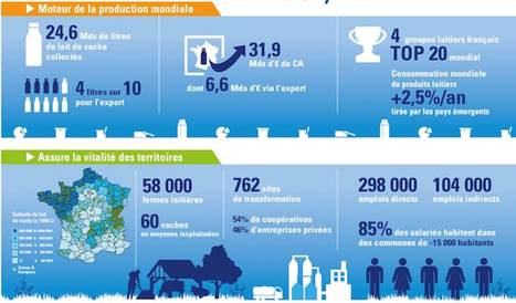 France, Terre de lait, pierre angulaire de la filière | Lait de Normandie... et d'ailleurs | Scoop.it