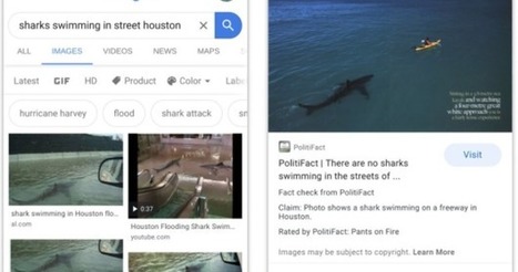 You Can Now Fact Check Pictures on Google Images via Educators' technology  | information analyst | Scoop.it