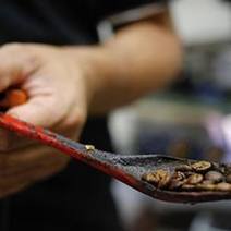 Latin America’s twin crises—malnutrition and obesity—would benefit from sustainable agriculture | AMÉRIQUES | Scoop.it