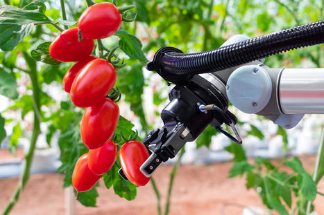 AG-TECH : The agri-tech conundrum – sustainable solutions or status quo? | INNOVATIONS | Scoop.it