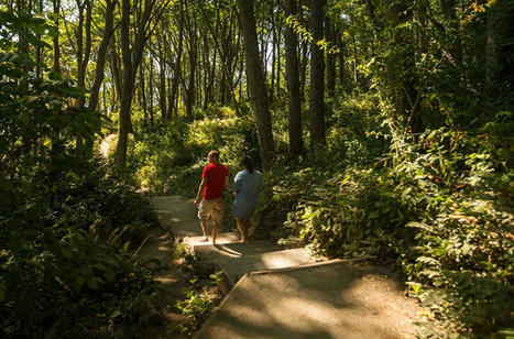 Cities don’t just need parks–they need big, wild ones | Energy Transition in Europe | www.energy-cities.eu | Scoop.it