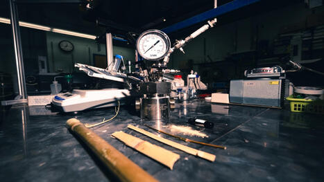 INNOVATIONS: Bamboo-based fuel could power vehicles, planes at a competitive cost | INNOVATIONS FERTILES | Scoop.it