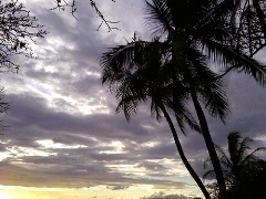 Hawaii Seeks 1 Gbps Statewide Broadband Access by 2018 - Government Technology | Surfing the Broadband Bit Stream | Scoop.it