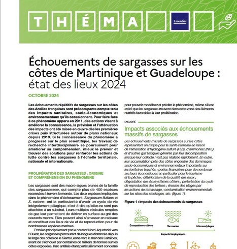 Échouements de sargasses sur les côtes de Martinique et de Guadeloupe : état des lieux 2024 - Données et études statistiques | Biodiversité | Scoop.it