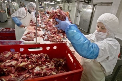 La Fédération de la Viande dément tout problème avec la viande chevaline en Belgique | La Gazette des abattoirs | Scoop.it