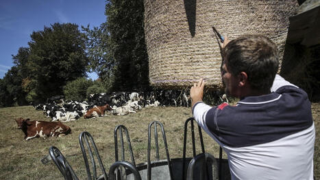 Alors que le Sommet de l&rsquo;&eacute;levage ouvre, la pluie et le &laquo;&nbsp;plan du rebond&nbsp;&raquo; pour l&rsquo;agriculture se font toujours attendre - Ouest France [Abonn&eacute;s] | Agriculture en Pays de la Loire | Scoop.it
