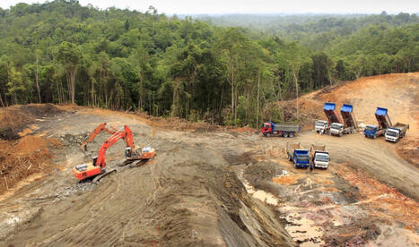 Causes of Forest Loss : data 2021-2025 | &Eacute;cosyst&egrave;mes Tropicaux | Scoop.it