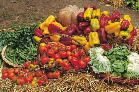 Italie : la fili&egrave;re courte fruits et l&eacute;gumes prend du poids | CIHEAM Press Review | Scoop.it