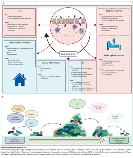 Le microbiote digestif : une cible potentielle de la lutte contre la résistance aux antibiotiques ? | Life Sciences Université Paris-Saclay | Scoop.it