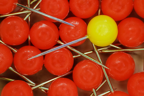 Connecting the Dots the P2P Way: The Commons as the Response to the Structural Crises of the Global System - Commons Transition | Peer2Politics | Scoop.it