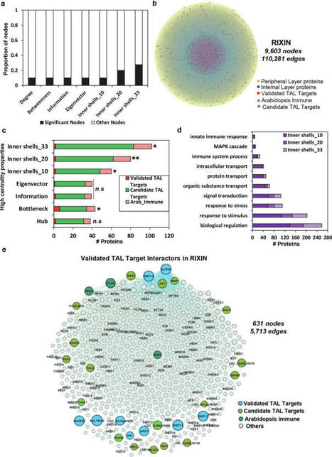 A Rice Protein Interaction Network Reveals High Centrality Nodes and Candidate Pathogen Effector Targets - Comp. Struct Biotech J. | TAL effector science | Scoop.it