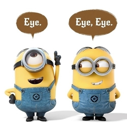 minions language translation despicable me