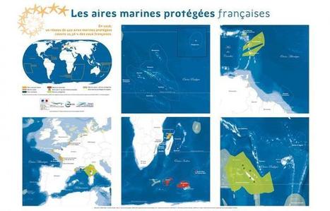 Réseau des aires marines protégées : 20 % et après ? | Biodiversité | Scoop.it