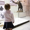 Free Choice Learning: What Teachers Can Learn From Museums - Getting Smart by Winifred Kehl - Free Choice Learning, Innovation, Museums | The 21st Century | Scoop.it