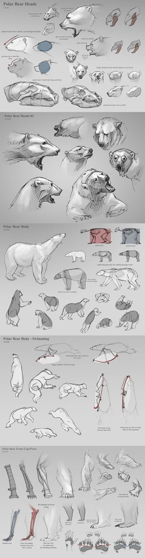Polar Bear Heads Drawing Tutorial | Drawing References and Resources | Scoop.it