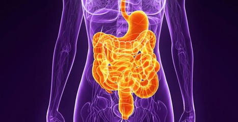 An Overview Of Beneficial Ways To Improve GI | Part 2 | Call: 915-850-0900 | The Gut "Connections to Health & Disease" | Scoop.it