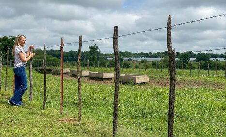 Oklahoma's loophole: How Tyson’s water use goes unchecked | Industry 411 - Waste Management | Scoop.it