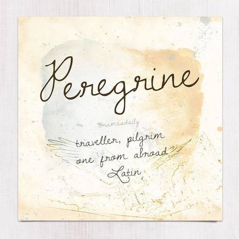 Peregrine by Alexia Mae | Names Daily • Nov 28, 2016 at 6:02pm UTC | Name News | Scoop.it