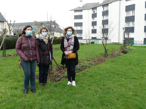 Dinan : un appel &agrave; projets pour le quartier prioritaire | L'actualit&eacute; des quartiers politique de la ville de Bretagne et Pays de la Loire | Scoop.it