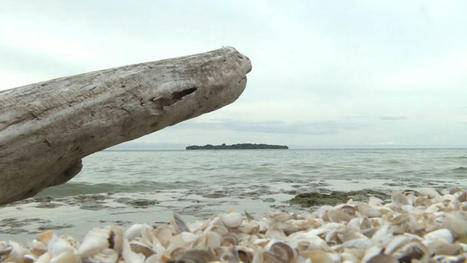 Lake Ontario’s Marysburgh Vortex home to shipwrecks, strange reported sightings - Kingston | Globalnews.ca | Strange Ontario | Scoop.it