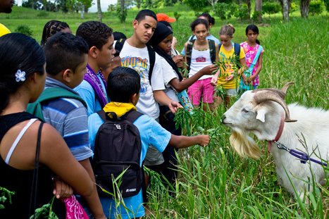 Why I like to protect the Environment | Cayo Scoop!  The Ecology of Cayo Culture | Scoop.it