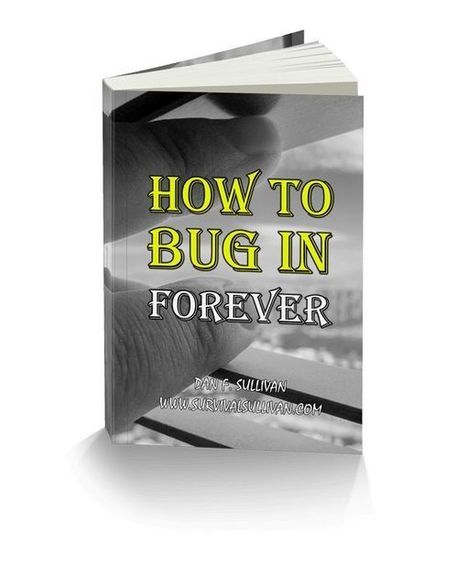 How To Bug In Forever eBook Dan Sullivan PDF Free Download | Ebooks & Books (PDF Free Download) | Scoop.it