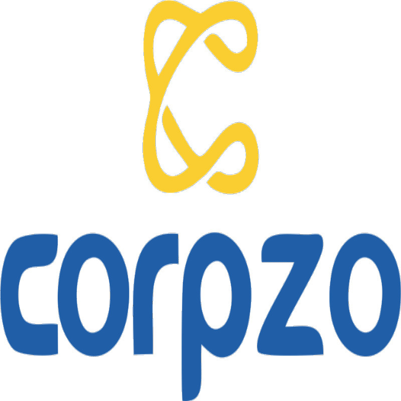 What Is Cash Flow Management Corpzo Ventures 
