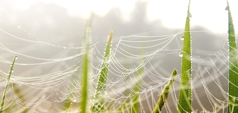 Sustainable Value Chains & Blockchain: Practical Applications | IA, DATACENTER & TRANSITION DIGITALE | Scoop.it