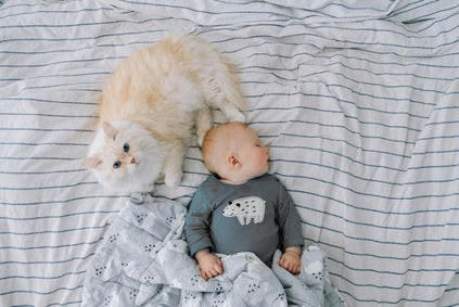 Name Sage: The Cat Stole Our Baby Name | Name News | Scoop.it