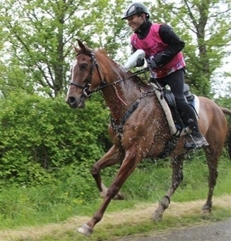 Franck Laousse 160 km à cheval et une victoire à Castelsagrat (82) | Cheval et sport | Scoop.it