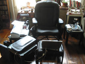 War in the Unseen World - Backstabber Watch: The Forest of Lies | The Unseen World | Scoop.it