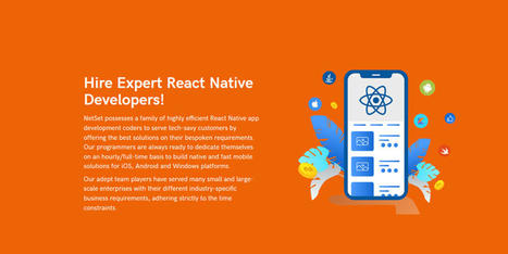 Top React Native Developer in India - NetSet Software | Technology | Scoop.it