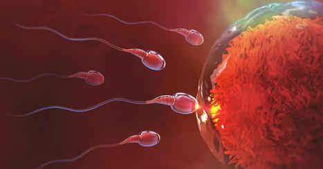 Santé. Un nouveau contraceptif masculin est en phase de test | actualités VIH, hépatites, IST, santé sexuelle | Scoop.it