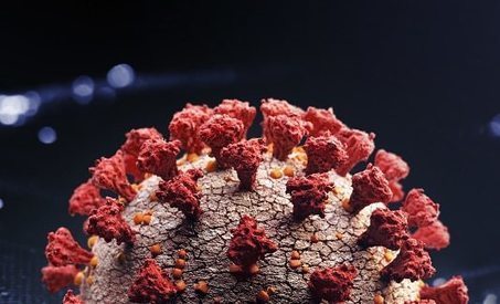 [IN NUMBERS] Coronavirus Update: COVID-19 In Africa | Corona Virus news | Scoop.it