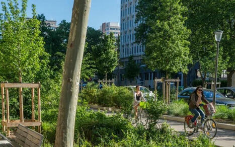 Canicules en ville : quelles solutions pour s’adapter aux vagues de chaleur ? | Veille UrbaLyon : Santé environnementale & bienfaits du végétal | Scoop.it