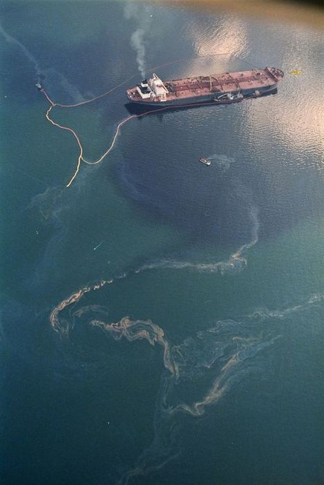 Oil From the Exxon Valdez Spill Lingers on Alaska Beaches | Coastal Restoration | Scoop.it