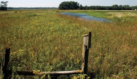 USDA seeks input on wetland determination | Coastal Restoration | Scoop.it