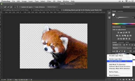 Photoshop Layer Masks: Applying a Layer Mask @ Weeder | Image Effects, Filters, Masks and Other Image Processing Methods | Scoop.it