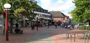 Hambourg veut devenir la première grande ville sans voiture‏ | Ces infos qui nous font du bien | Scoop.it