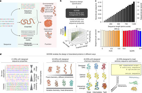 Rational design of disordered proteins for sequence&ndash;function investigation | nat&nbsp; | RMH | Scoop.it