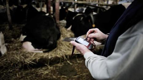 La révolution 2.0 est en marche dans le monde agricole | FOODTECH - food 2.0, news, proxy, strategy, wine&cheese, mkt, new concept, innovation | Scoop.it