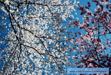 Spring - Picture Vocabulary | English Word Power | Scoop.it