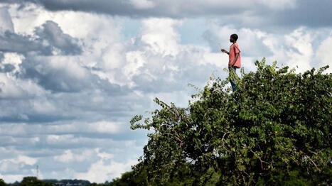 Le Printemps des po&egrave;tes 2026 c&eacute;l&egrave;bre la "libert&eacute;, force vive, d&eacute;ploy&eacute;e" | La Biblioth&egrave;que de l'&Eacute;cole nationale des chartes-PSL vous accompagne dans la pr&eacute;paration aux concours | Scoop.it