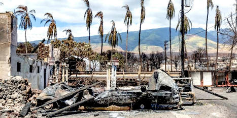 Amid Maui fire devastation, Big Oil tries to kill Hawaii climate lawsuit - RawStory.com | Agents of Behemoth | Scoop.it